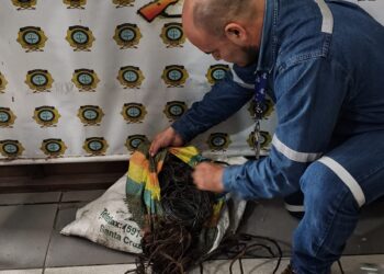 𝗧𝗶𝗴𝗼 𝗹𝗶𝗱𝗲𝗿𝗮 𝗰𝗼𝗼𝗿𝗱𝗶𝗻𝗮𝗰𝗶ó𝗻 𝗶𝗻𝘁𝗲𝗿𝗶𝗻𝘀𝘁𝗶𝘁𝘂𝗰𝗶𝗼𝗻𝗮𝗹 𝗽𝗮𝗿𝗮 𝗽𝗿𝗲𝘃𝗲𝗻𝗶𝗿 𝗲𝗹 𝗿𝗼𝗯𝗼 𝗱𝗲 𝗶𝗻𝗳𝗿𝗮𝗲𝘀𝘁𝗿𝘂𝗰𝘁𝘂𝗿𝗮 𝗰𝗿í𝘁𝗶𝗰𝗮 𝗲𝗻 𝗦𝗮𝗻𝘁𝗮 𝗖𝗿𝘂𝘇