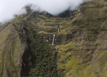 “La vida del agua”: el MUSEF estrena documental que conecta territorios, memoria y saberes comunitarios