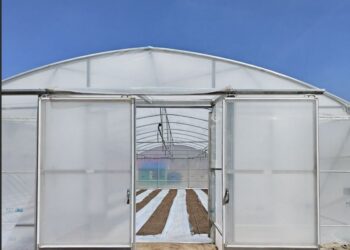 𝐉𝐚𝐲𝐚𝐪𝐮𝐢𝐥𝐚 𝐢𝐧𝐚𝐮𝐠𝐮𝐫𝐚 𝐯𝐢𝐯𝐞𝐫𝐨 𝐞𝐝𝐮𝐜𝐚𝐭𝐢𝐯𝐨 𝐪𝐮𝐞 𝐢𝐦𝐩𝐮𝐥𝐬𝐚 𝐝𝐞𝐬𝐚𝐫𝐫𝐨𝐥𝐥𝐨 𝐩𝐫𝐨𝐝𝐮𝐜𝐭𝐢𝐯𝐨 𝐞𝐧 𝐞𝐥 𝐚𝐥𝐭𝐢𝐩𝐥𝐚𝐧𝐨