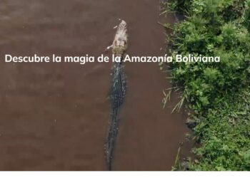 𝑽𝒊𝒂𝒋𝒂𝒓 𝒄𝒐𝒏 𝑲𝑶𝑴𝑼𝑵𝑨: 𝒏𝒂𝒕𝒖𝒓𝒂𝒍𝒆𝒛𝒂, 𝒄𝒖𝒍𝒕𝒖𝒓𝒂 𝒚 𝒅𝒆𝒔𝒂𝒓𝒓𝒐𝒍𝒍𝒐 𝒍𝒐𝒄𝒂𝒍 𝒆𝒏 𝒆𝒍 𝒄𝒐𝒓𝒂𝒛ó𝒏 𝒅𝒆𝒍 𝑩𝒆𝒏𝒊