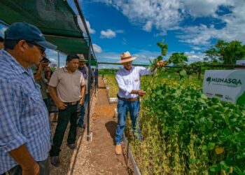 𝑨𝒏𝒂𝒑𝒐 𝒅𝒆𝒔𝒄𝒂𝒓𝒕𝒂 𝒒𝒖𝒆 𝒂𝒓𝒂𝒏𝒄𝒆𝒍 𝒄𝒆𝒓𝒐 𝒂 𝒍𝒂 𝒔𝒐𝒚𝒂 𝒂𝒇𝒆𝒄𝒕𝒆 𝒆𝒍 𝒑𝒓𝒆𝒄𝒊𝒐 𝒂𝒍 𝒑𝒓𝒐𝒅𝒖𝒄𝒕𝒐𝒓