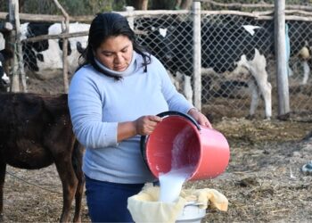 𝙀𝙨𝙩𝙪𝙙𝙞𝙤 𝙙𝙚𝙨𝙩𝙖𝙘𝙖 𝙦𝙪𝙚 𝙛𝙞𝙣𝙖𝙣𝙘𝙞𝙖𝙢𝙞𝙚𝙣𝙩𝙤 𝙙𝙚𝙡 𝘽𝘿𝙋 𝙛𝙤𝙧𝙩𝙖𝙡𝙚𝙘𝙚 𝙡𝙖 𝙖𝙪𝙩𝙤𝙣𝙤𝙢í𝙖 𝙚𝙘𝙤𝙣ó𝙢𝙞𝙘𝙖 𝙙𝙚 𝙢𝙪𝙟𝙚𝙧𝙚𝙨 𝙥𝙧𝙤𝙙𝙪𝙘𝙩𝙤𝙧𝙖𝙨