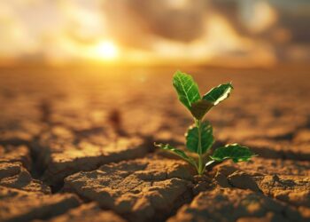 𝐄𝐜𝐨𝐞𝐟𝐢𝐜𝐢𝐞𝐧𝐜𝐢𝐚 𝐁𝐃𝐏 𝐦𝐨𝐯𝐢𝐥𝐢𝐳𝐚 𝐁𝐬𝟐𝟎𝟗 𝐦𝐢𝐥𝐥𝐨𝐧𝐞𝐬 𝐩𝐚𝐫𝐚 𝐩𝐫𝐨𝐲𝐞𝐜𝐭𝐨𝐬 𝐩𝐫𝐨𝐝𝐮𝐜𝐭𝐢𝐯𝐨𝐬 𝐬𝐨𝐬𝐭𝐞𝐧𝐢𝐛𝐥𝐞𝐬 𝐞𝐧 𝐁𝐨𝐥𝐢𝐯𝐢𝐚